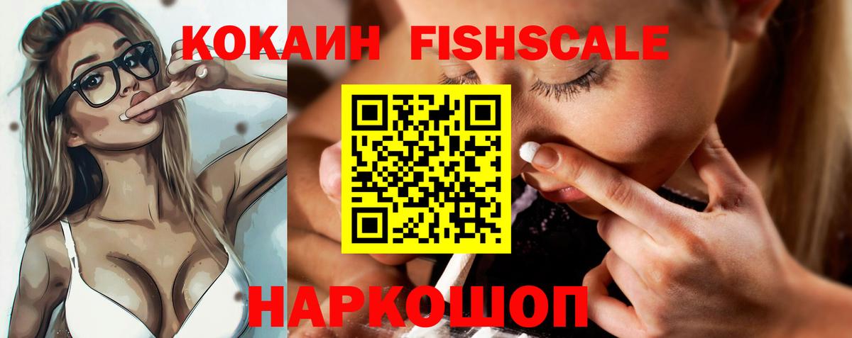 где можно купить наркотик  КОКАИН FishScale  Кокаин  Вход с VPN  Новочебоксарск 