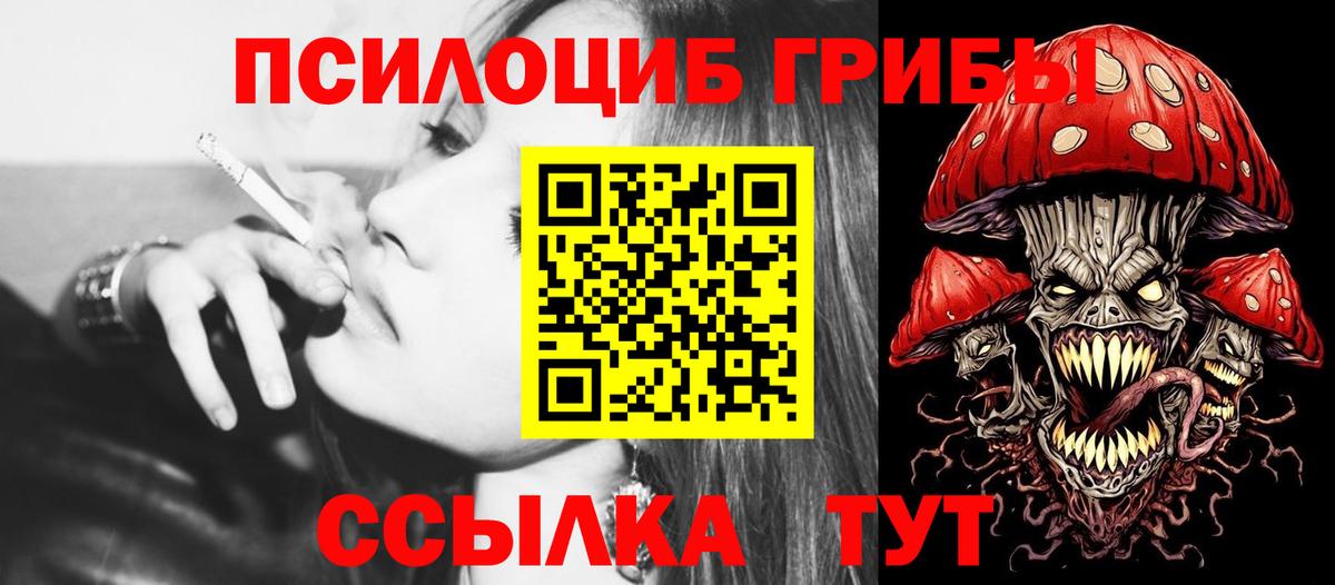 хочу   Галлюциногенные грибы прущие грибы  Вход с VPN  Галлюциногенные грибы прущие грибы  Новочебоксарск 